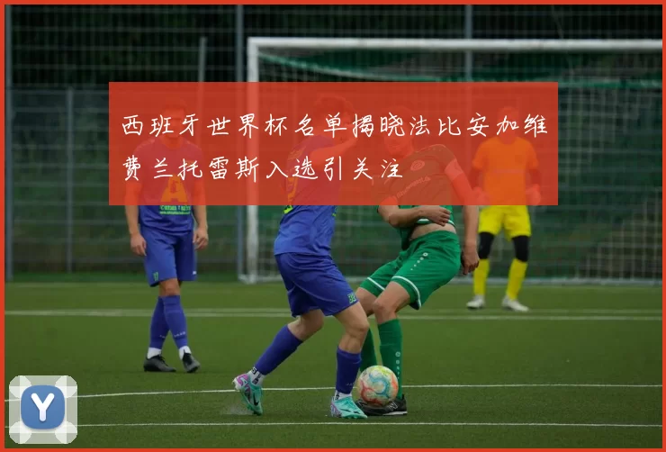西班牙世界杯名单揭晓法比安加维费兰托雷斯入选引关注