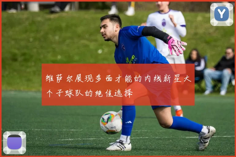 维萨尔展现多面才能的内线新星大个子球队的绝佳选择